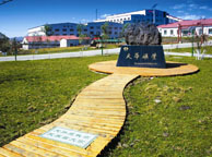 江苏天华矿业集团